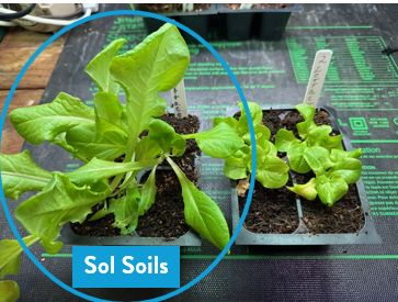 Soil (1Gal) Seedling &amp; Propagation Mix: 1 Gallon (4 quarts)