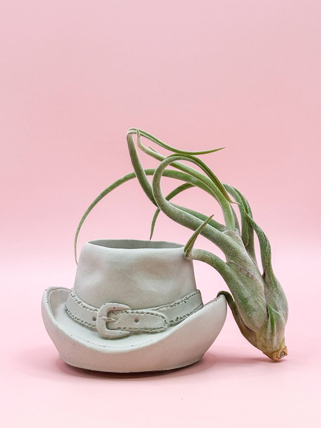 Cowboy Hat Concrete Planter | Western Cowgirl Plant Pot : Terra-cotta