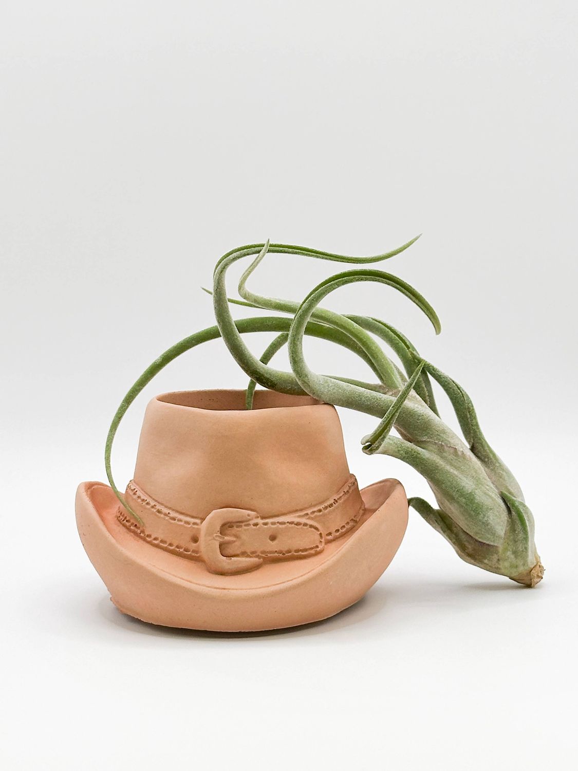 Cowboy Hat Concrete Planter | Western Cowgirl Plant Pot : Terra-cotta