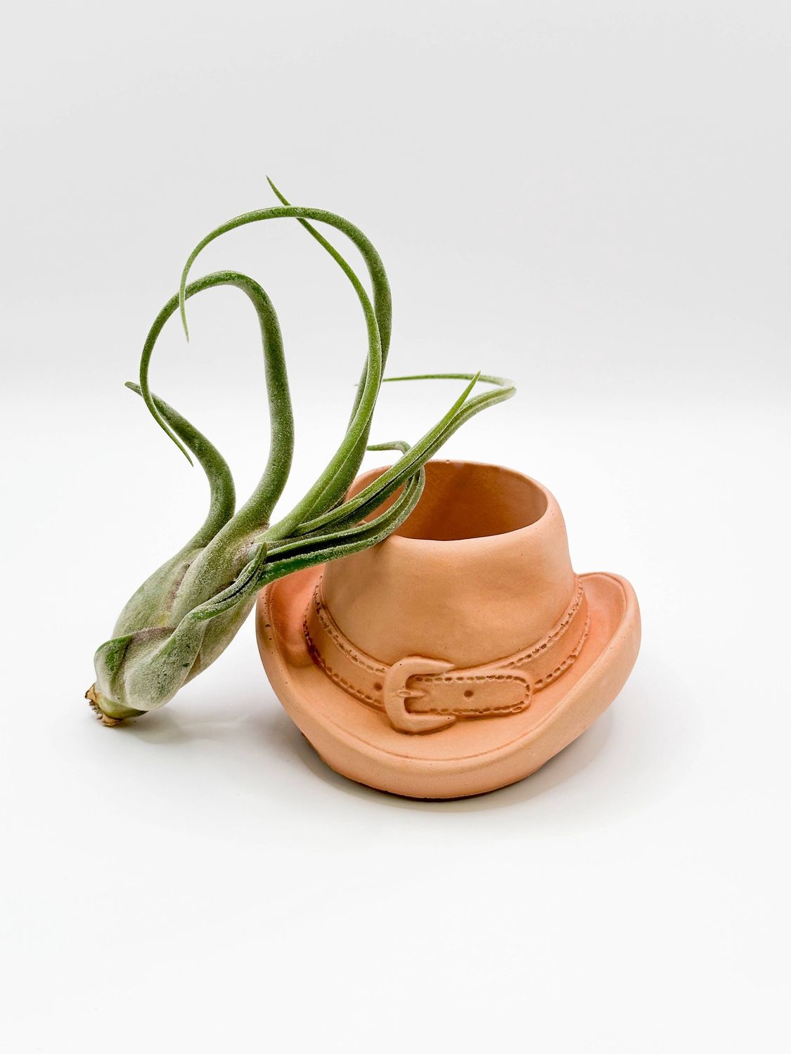 Cowboy Hat Concrete Planter | Western Cowgirl Plant Pot : Terra-cotta