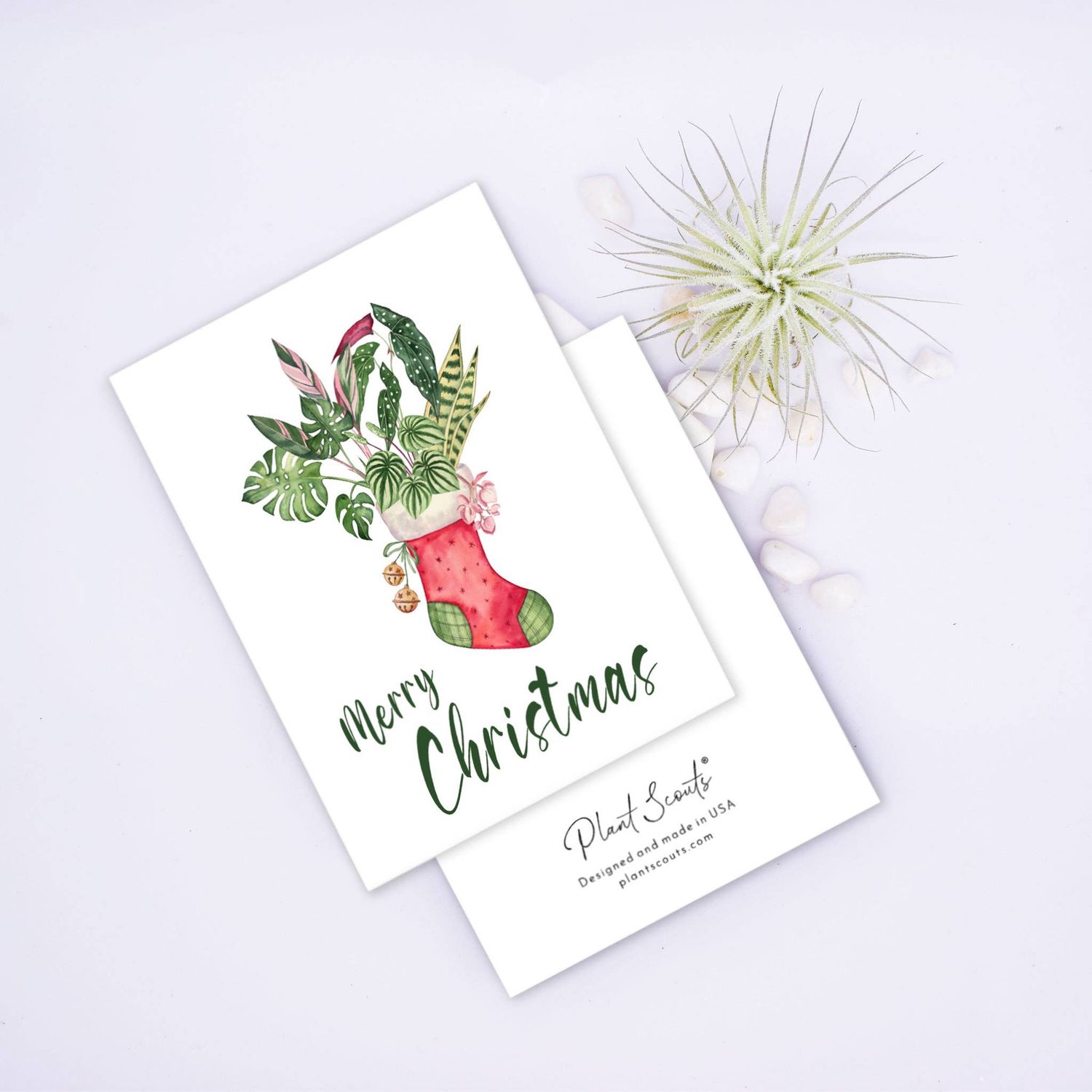 Christmas Sock Greeting Card