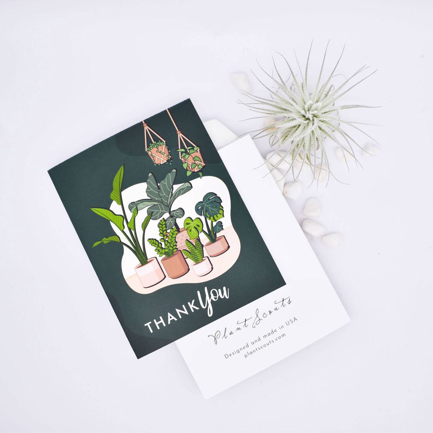 Thank you Greetings Card