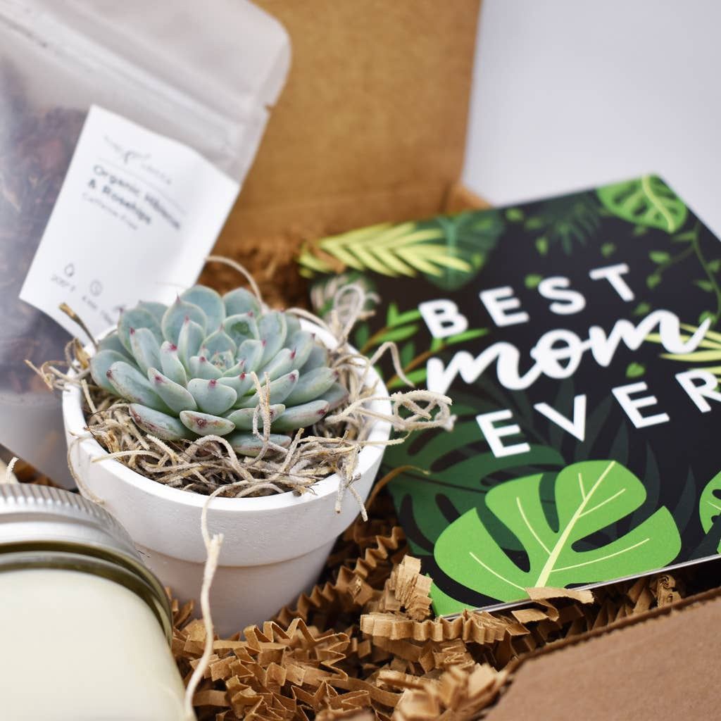 Plant Mom Greeting Card - Mother's Day Cards
