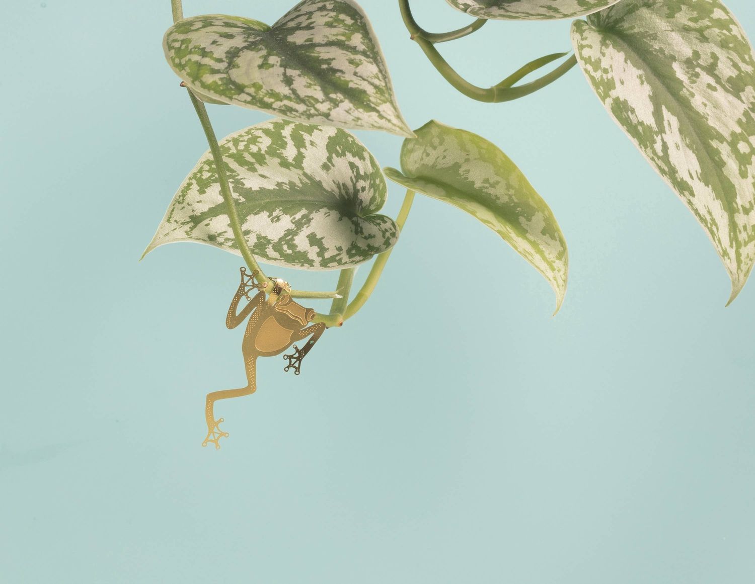 Plant Animal - Tree Frog, Houseplant Decoration