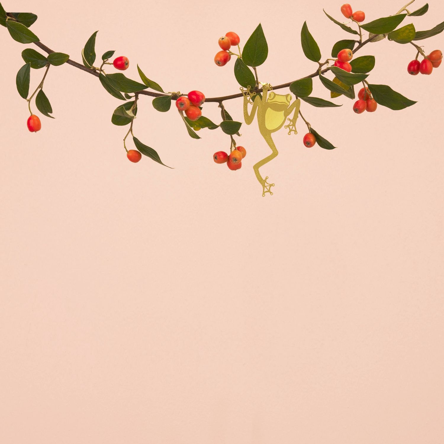 Plant Animal - Tree Frog, Houseplant Decoration
