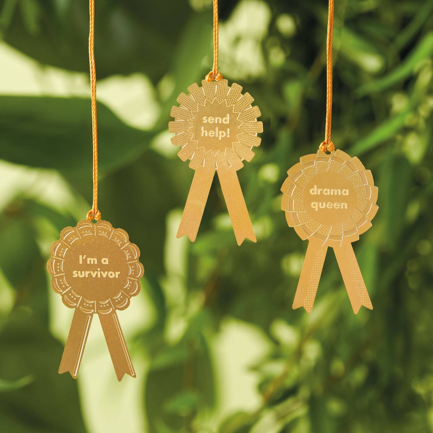 Plant Award Set of 3 - Survivor, Send Help, Drama Queen