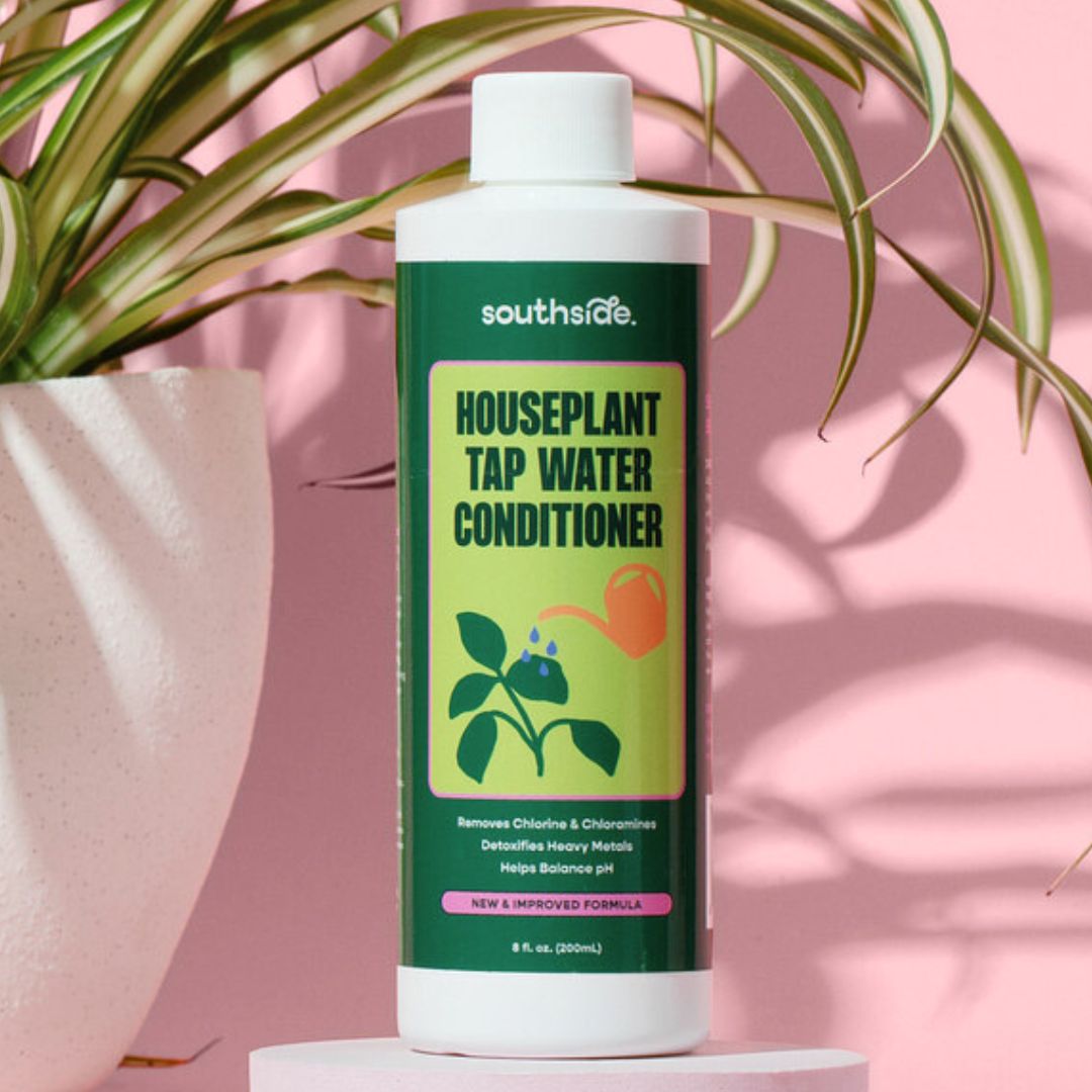 Houseplant Tap Water Conditioner