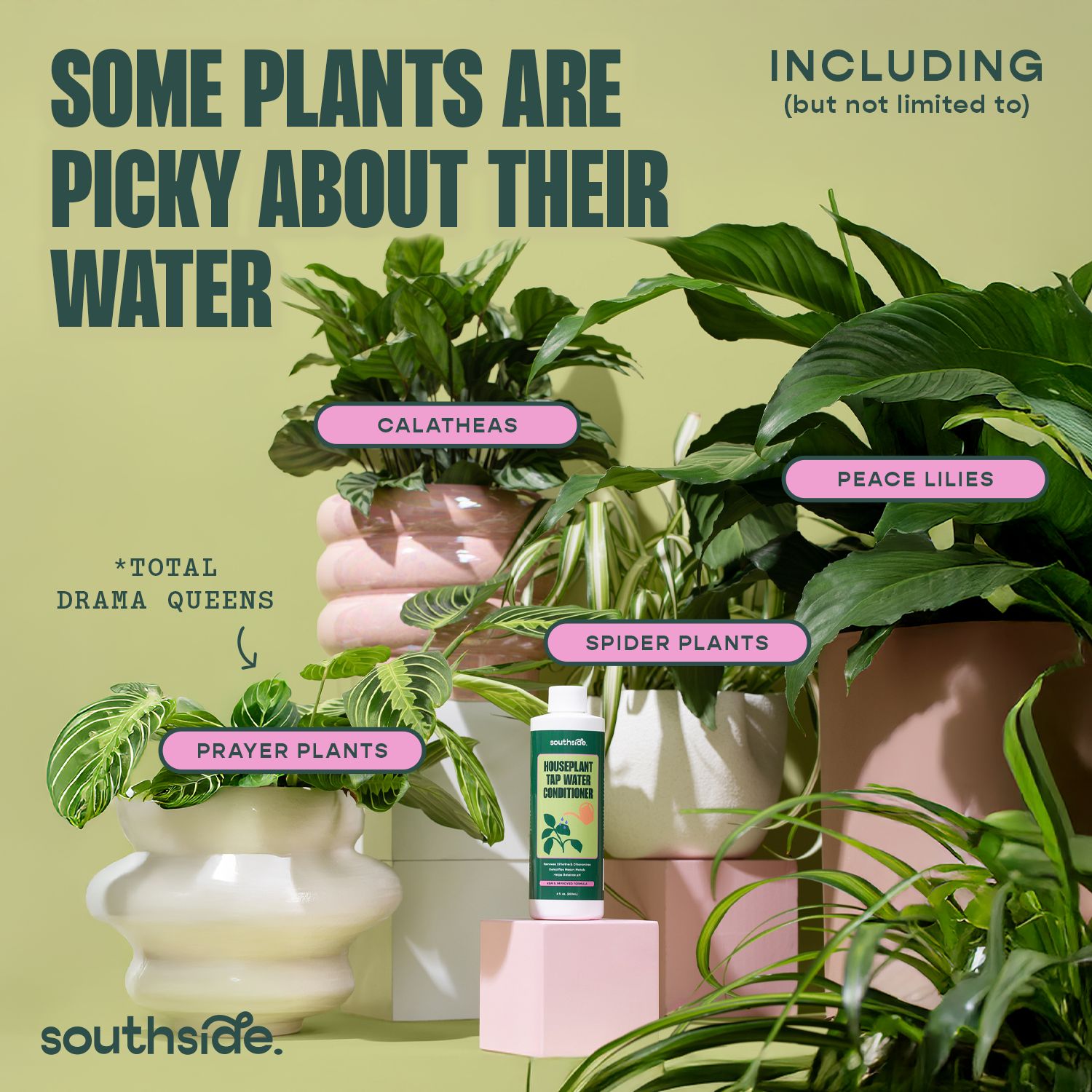Houseplant Tap Water Conditioner