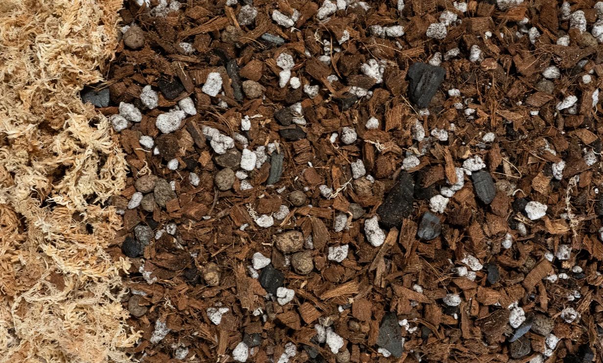 Forbidden Cereal 6.5 Qt