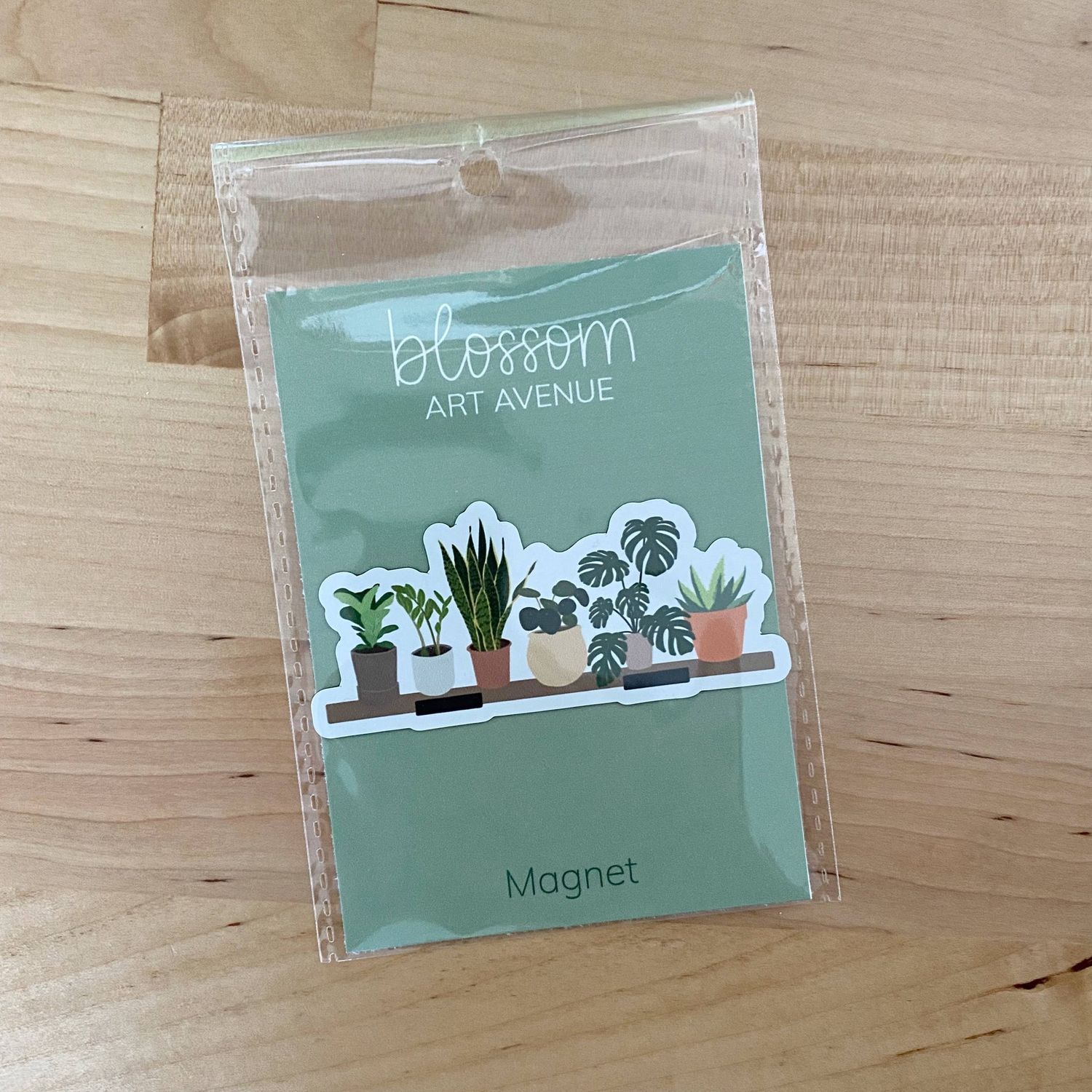House Plant Shelf Magnet