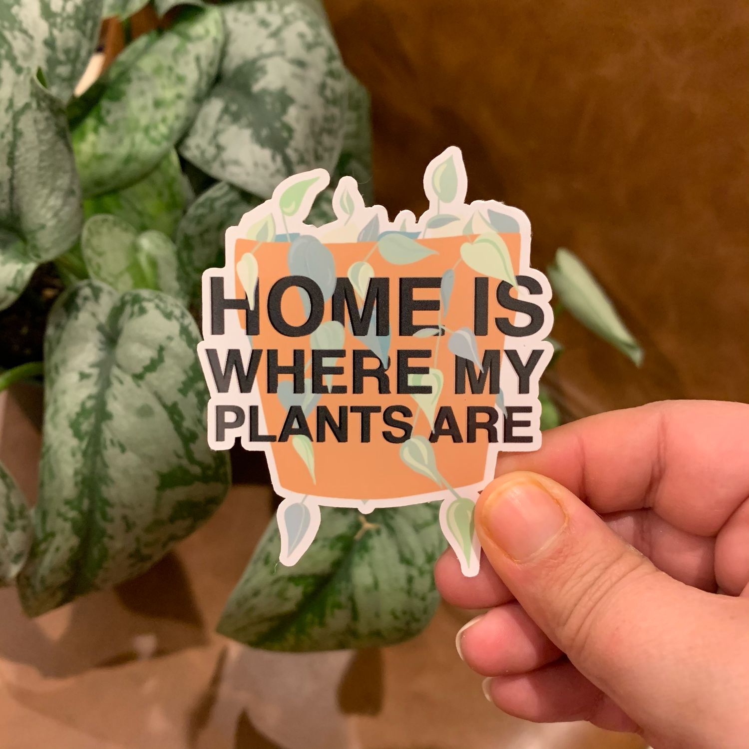 Home is Where my Plants Are Magnet