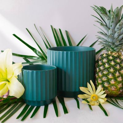 Monroe Planter | Rainforest: 6.75 inch