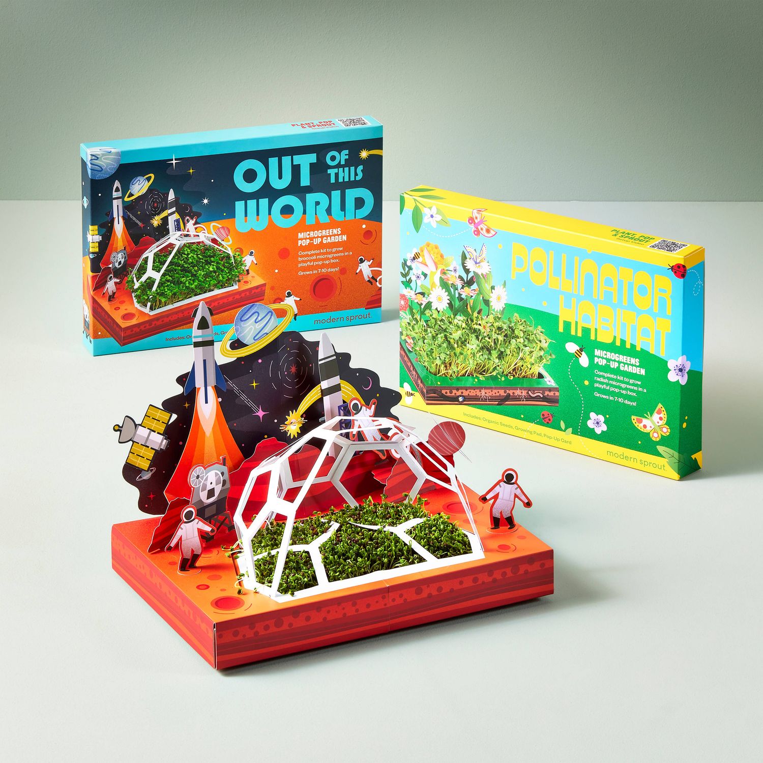 Microgreens DIY Kit: Out of this World