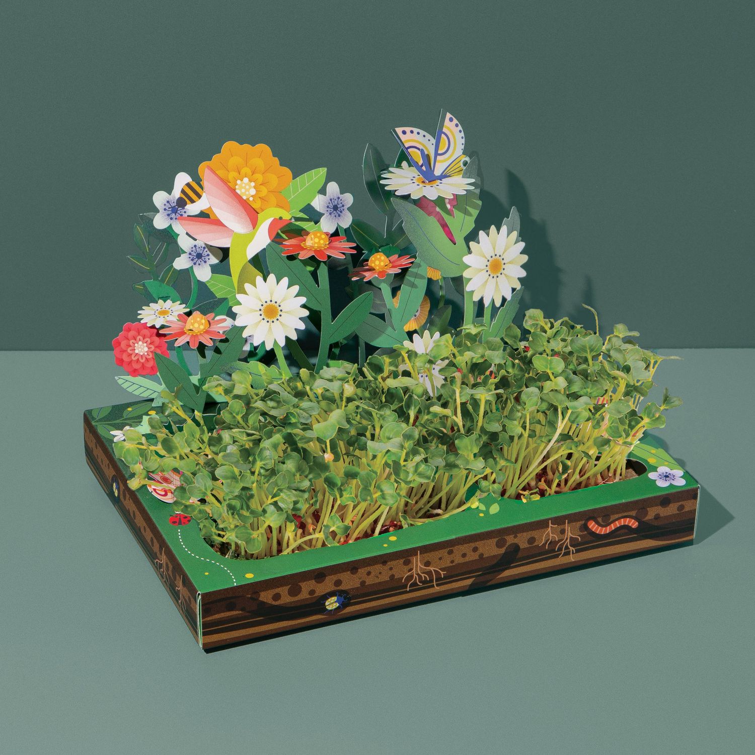 Microgreens DIY Kit: Out of this World
