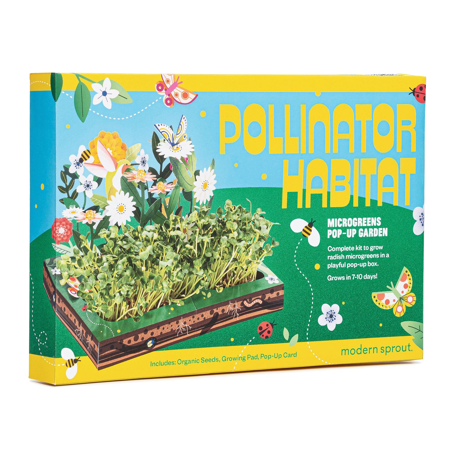 Microgreens DIY Kit: Out of this World