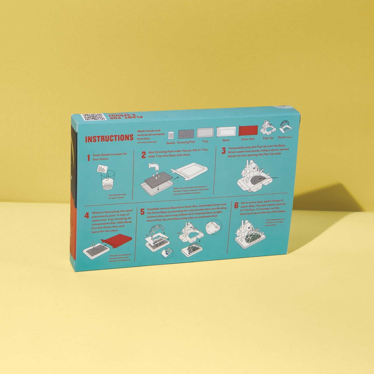 Microgreens DIY Kit: Out of this World