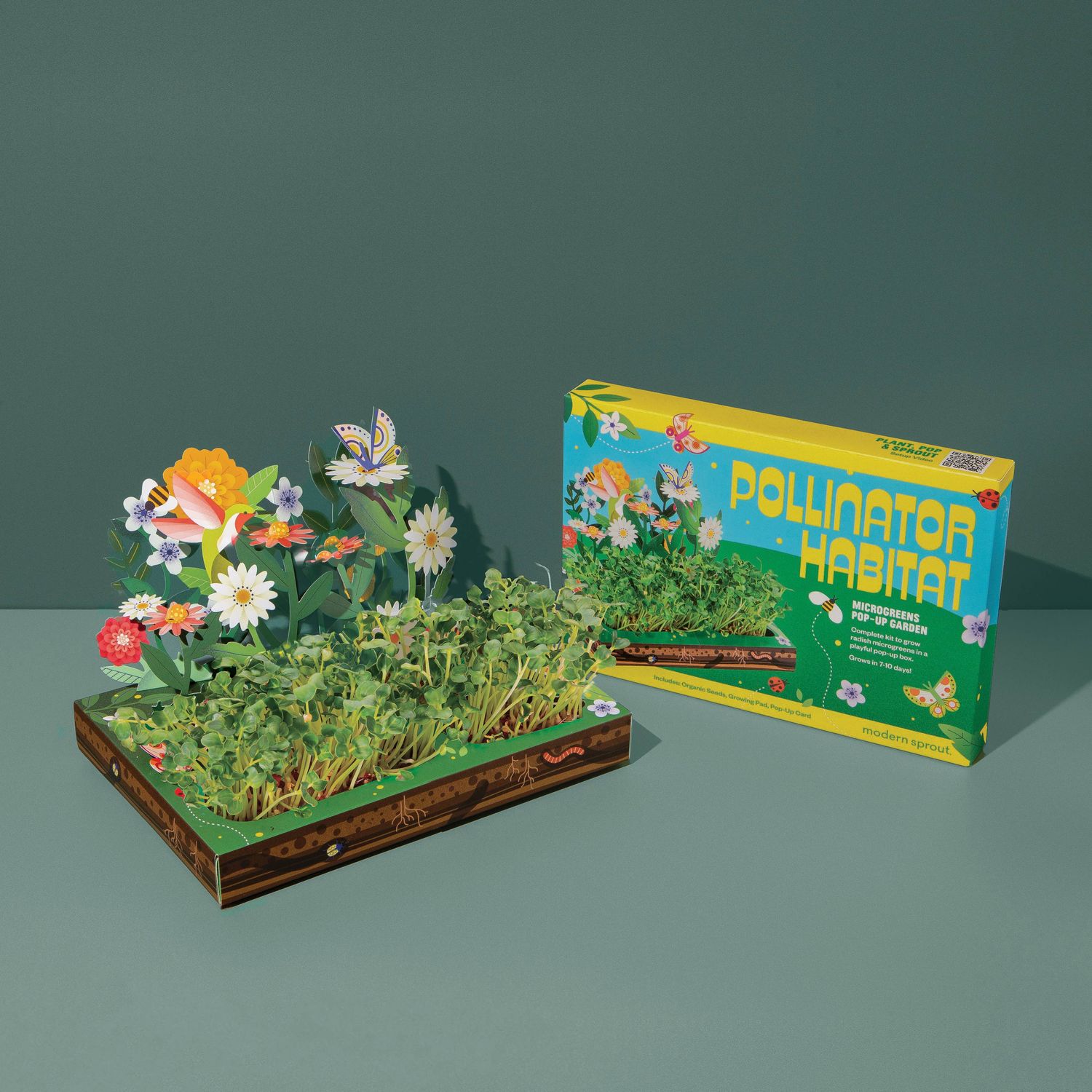 Microgreens DIY Kit: Out of this World