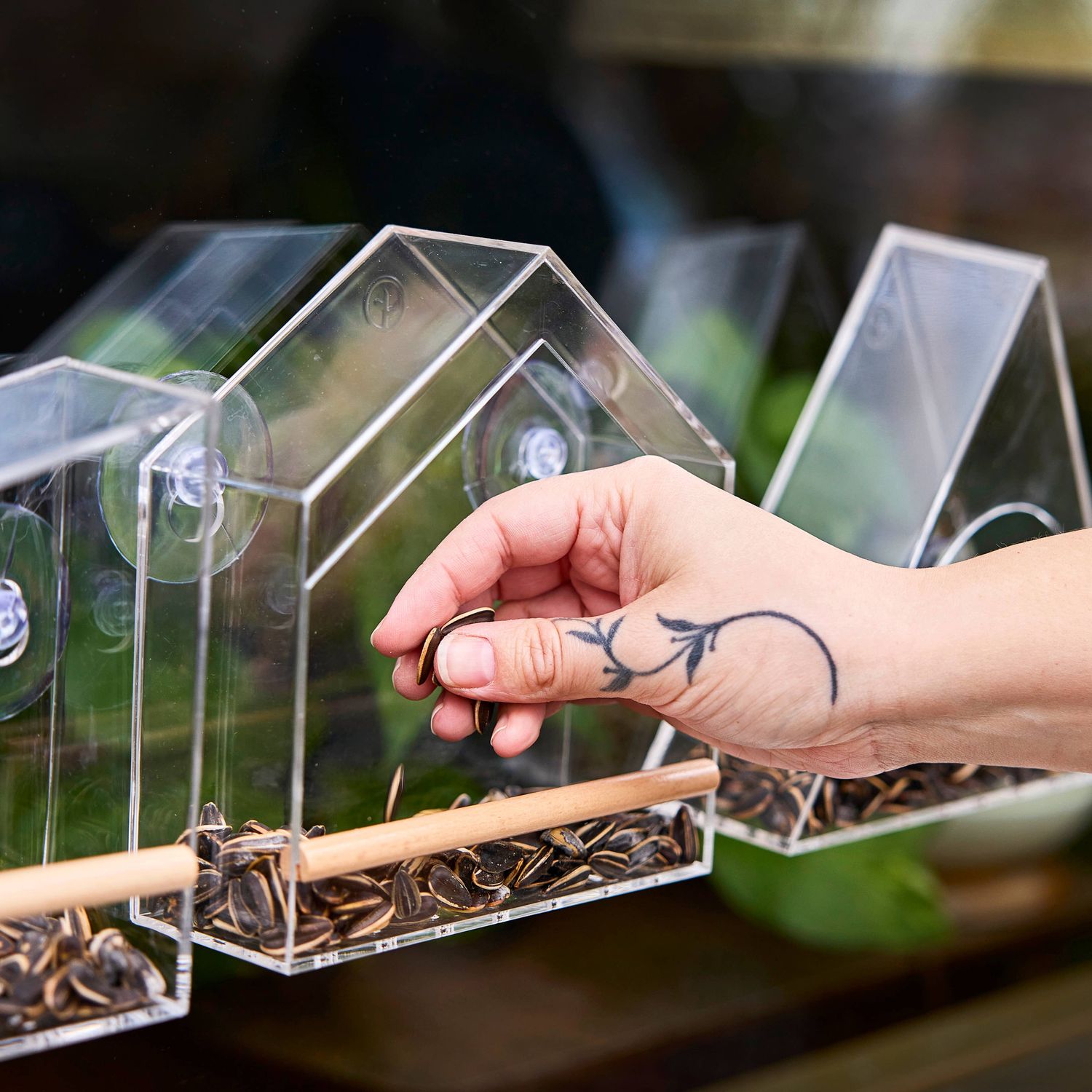 Birds on the Block - Bird Feeders: Cottage Roost