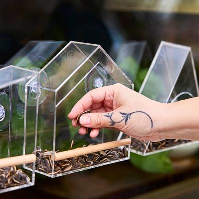 Birds on the Block - Bird Feeders: Mod Perch