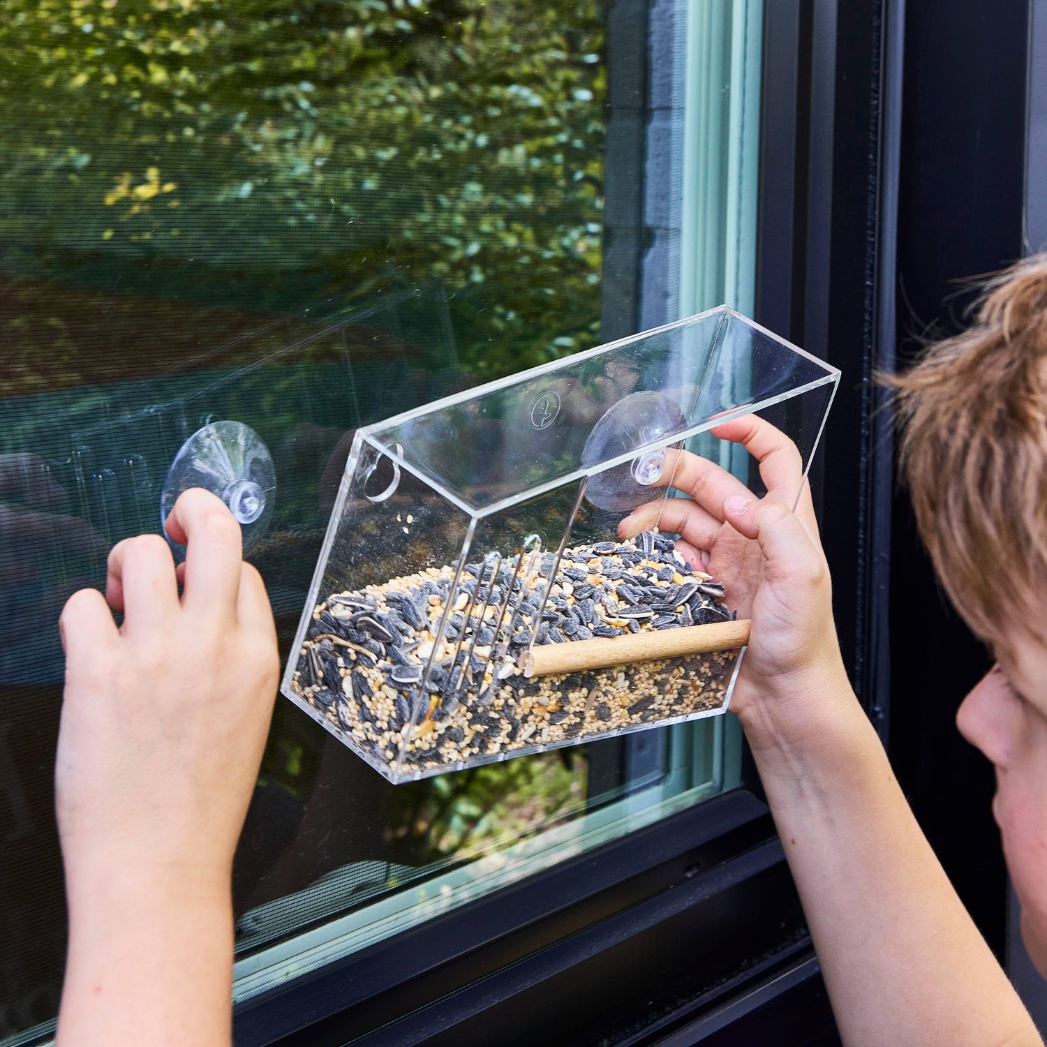 Birds on the Block - Bird Feeders: Mod Perch
