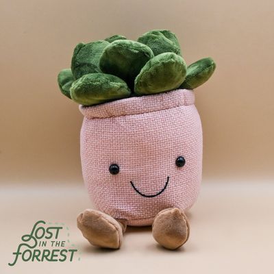 Potted Succulent Plush: Pink