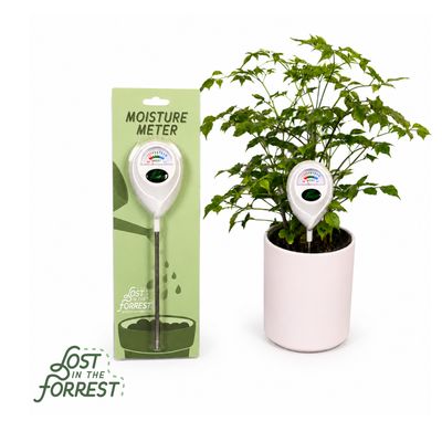 Moisture Meter