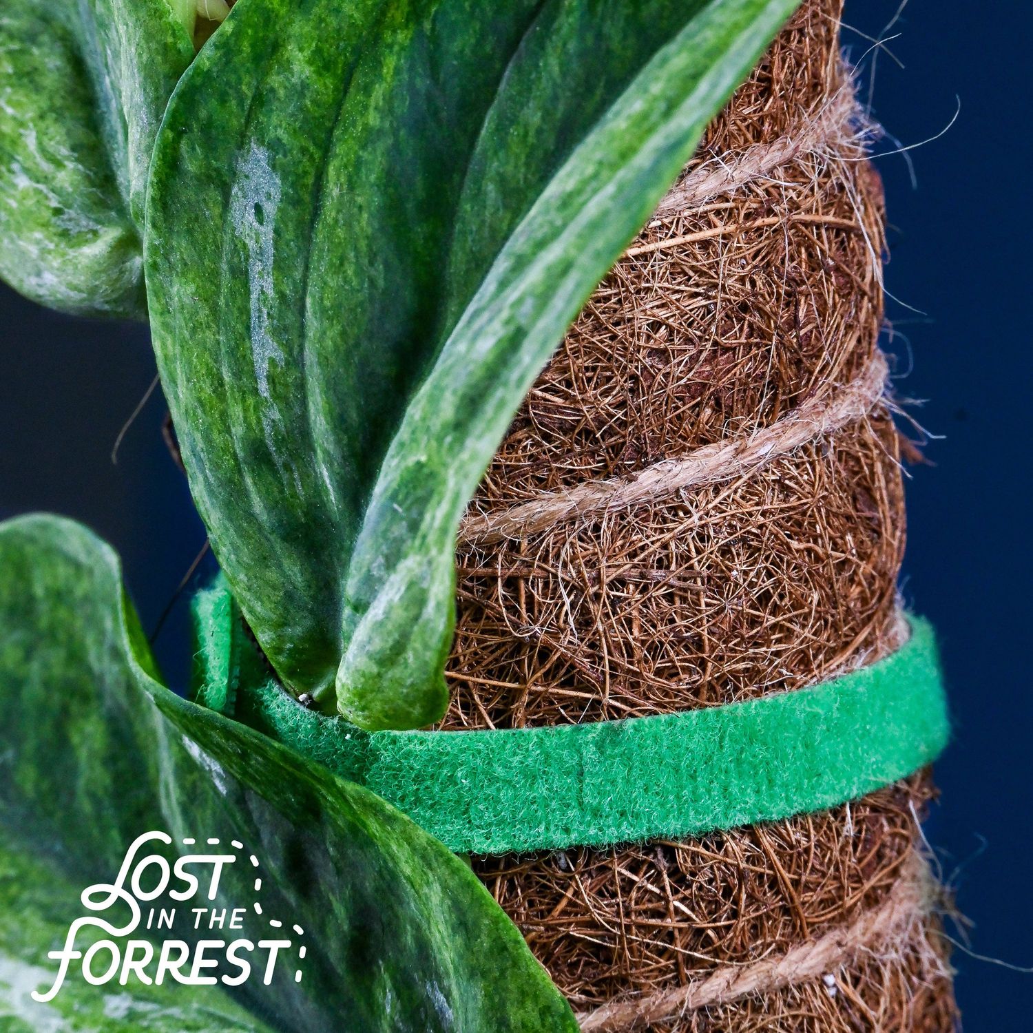 Stackable Coir Pole: 24"