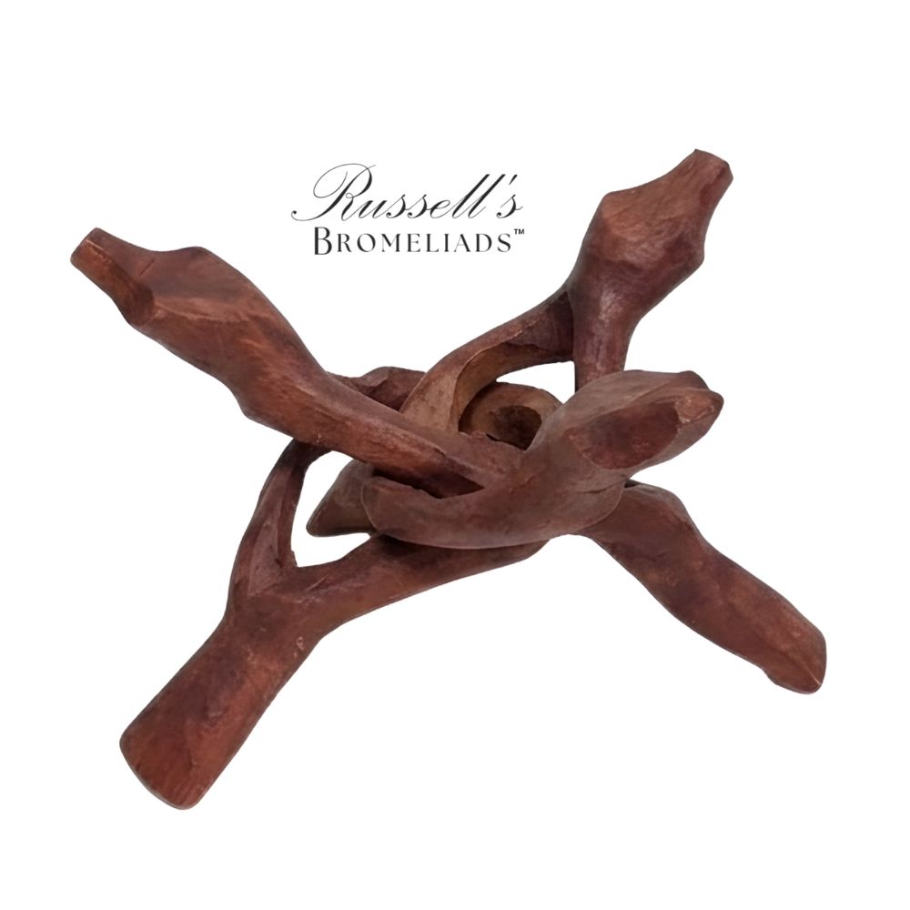 6" Air Plant Bonfire Stand