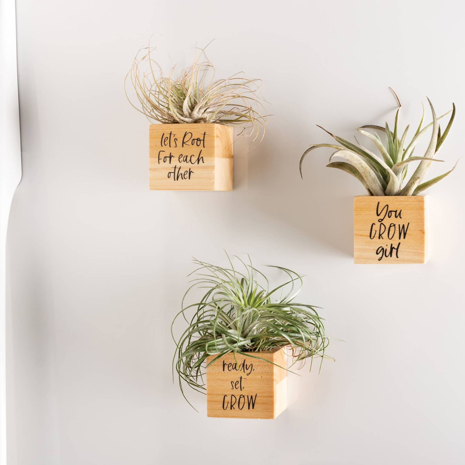 You Grow Planter Magnet