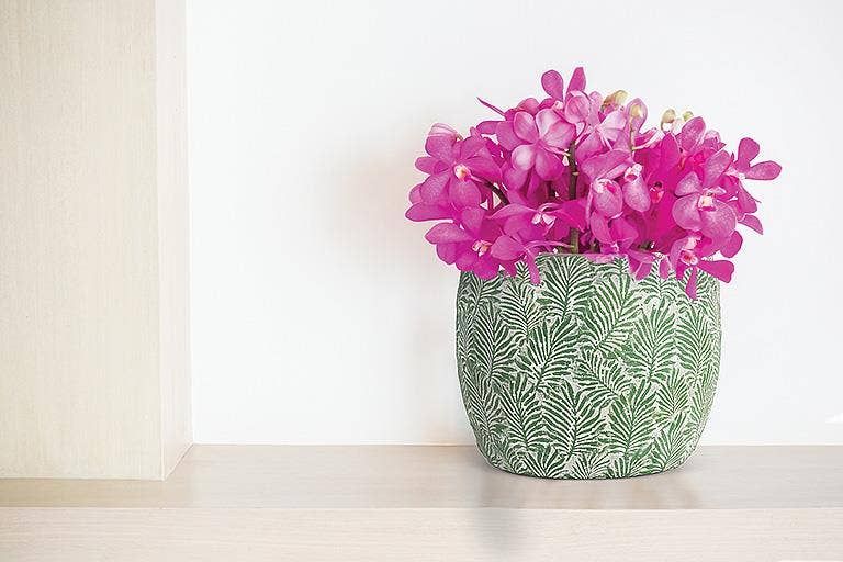 Green Leaf Planter: Small (5"D)