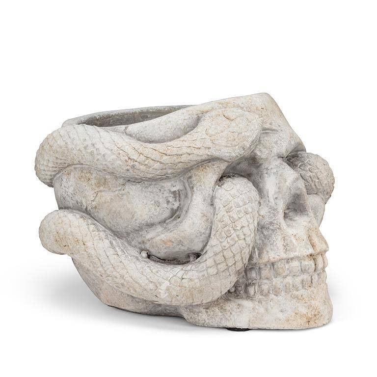 Small Skull Planter with Snake-4.5"H