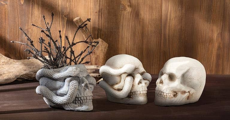 Small Skull Planter with Snake-4.5"H