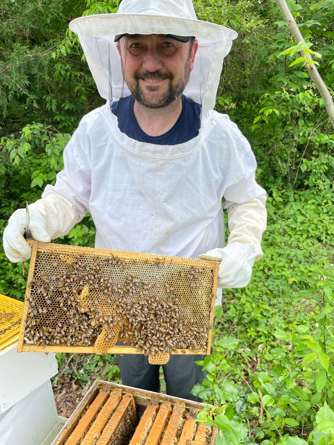 Early Acres Farm Honey - 12oz
