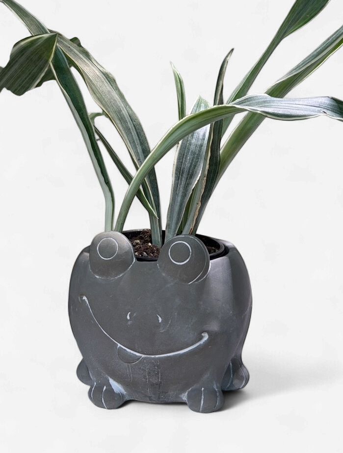 Frog Cement Pot 4.5"
