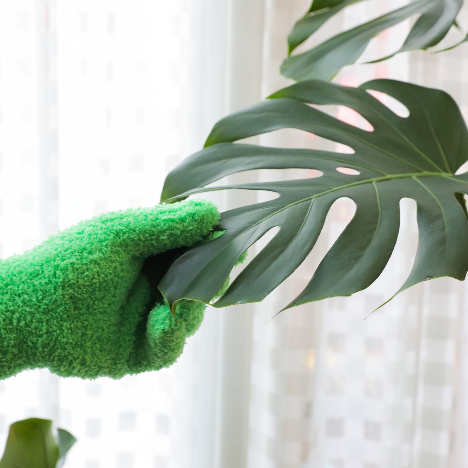 2 Microfiber Gloves – Reusable Leaf-Shining Gloves for Plants: Green