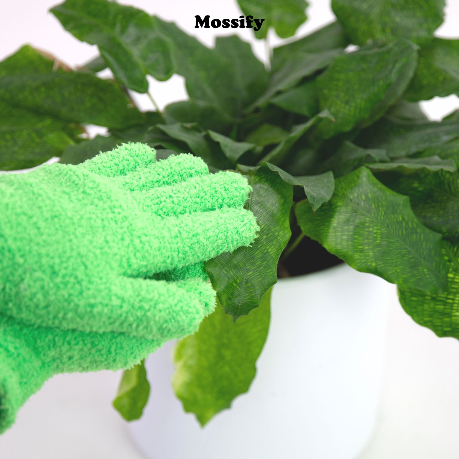 2 Microfiber Gloves – Reusable Leaf-Shining Gloves for Plants: Green