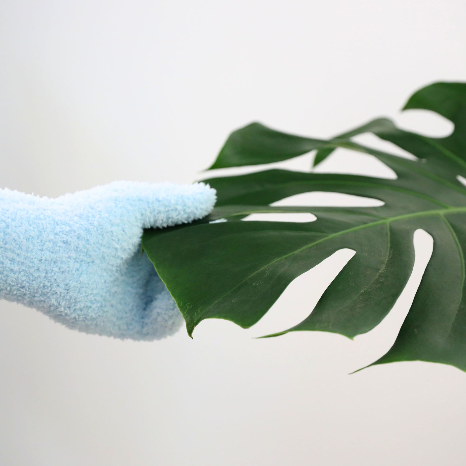 2 Microfiber Gloves – Reusable Leaf-Shining Gloves for Plants: Green