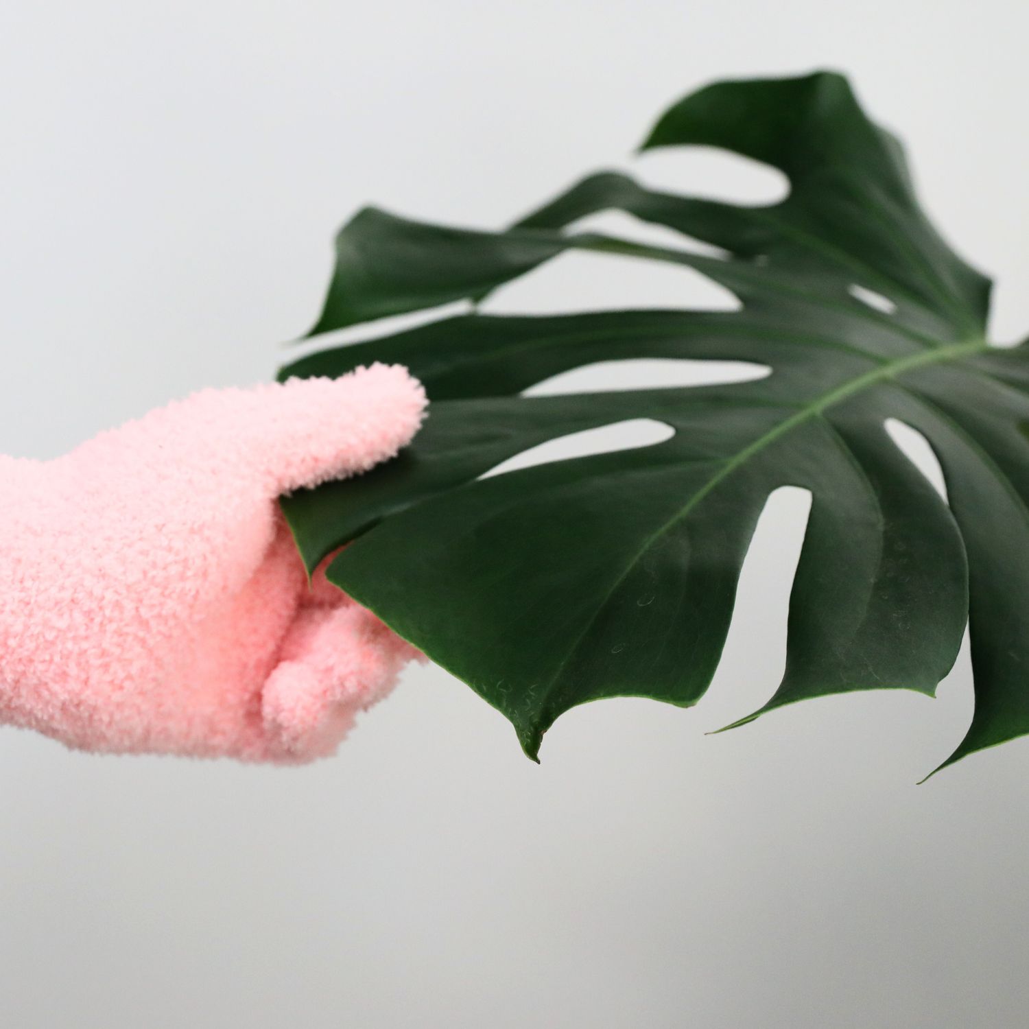 2 Microfiber Gloves – Reusable Leaf-Shining Gloves for Plants: Green