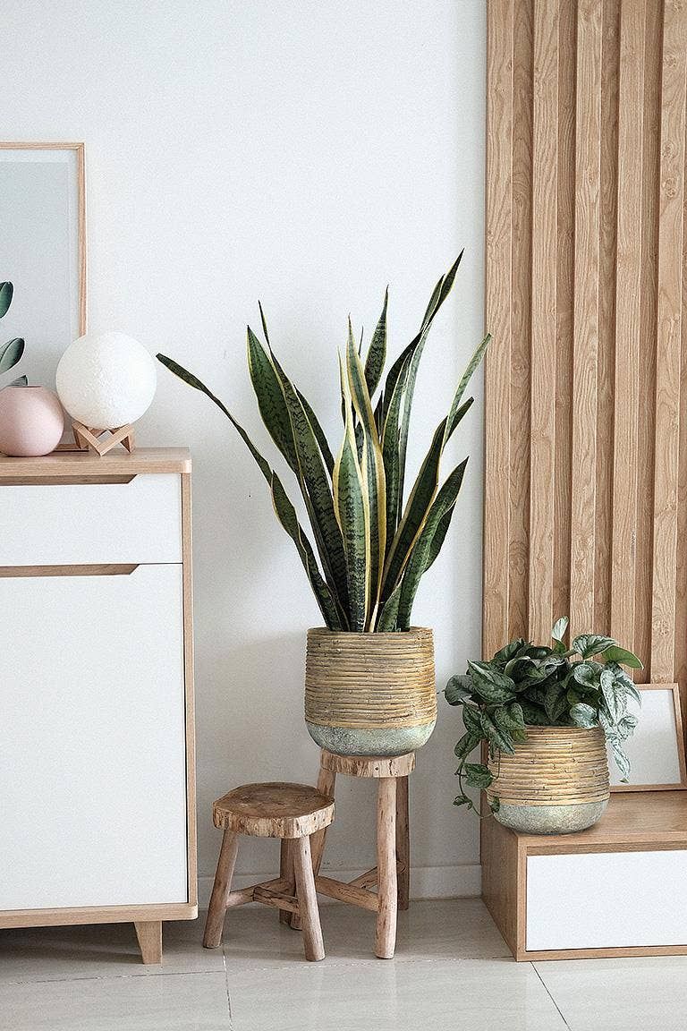 Lg  Rattan Wrap Look Planter-8"H