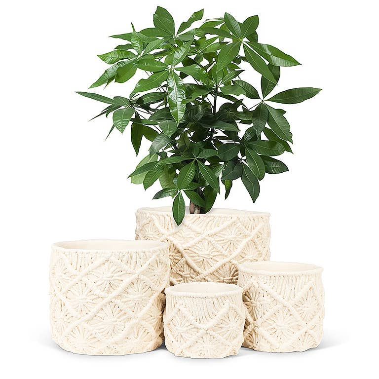 Md Macrame Style Planter-5" D
