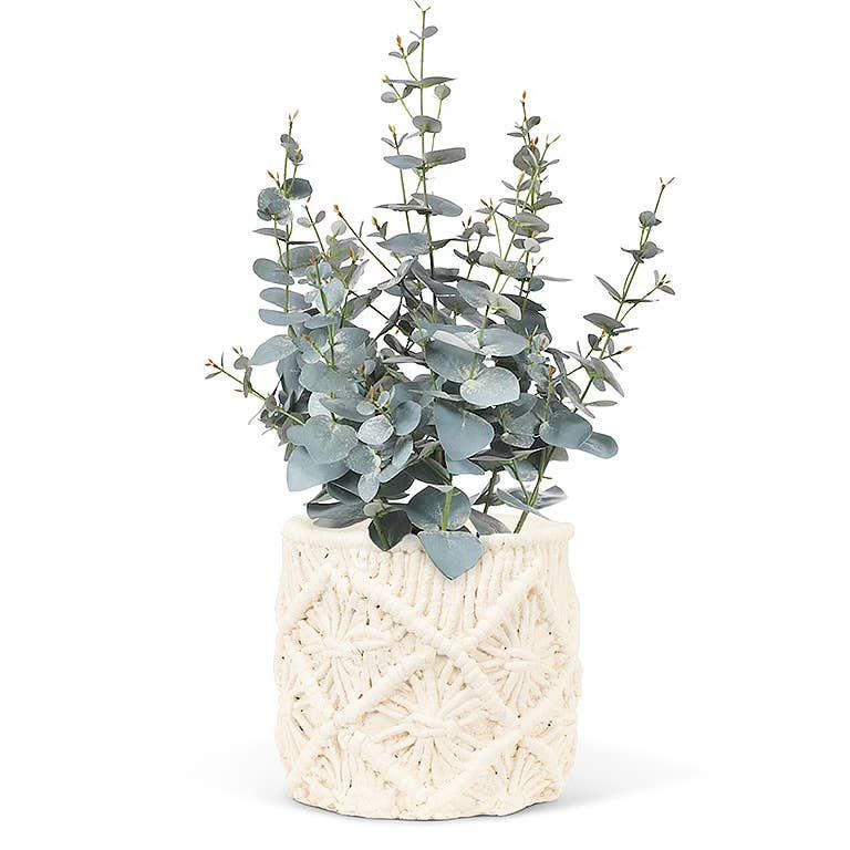 Md Macrame Style Planter-5" D