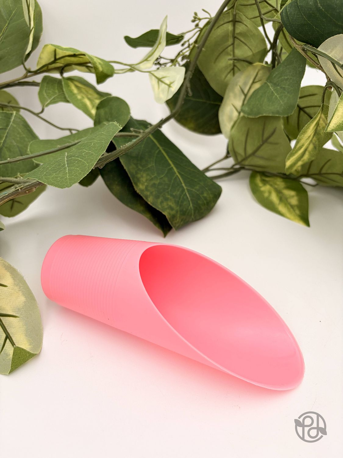 Plant Scoop: White