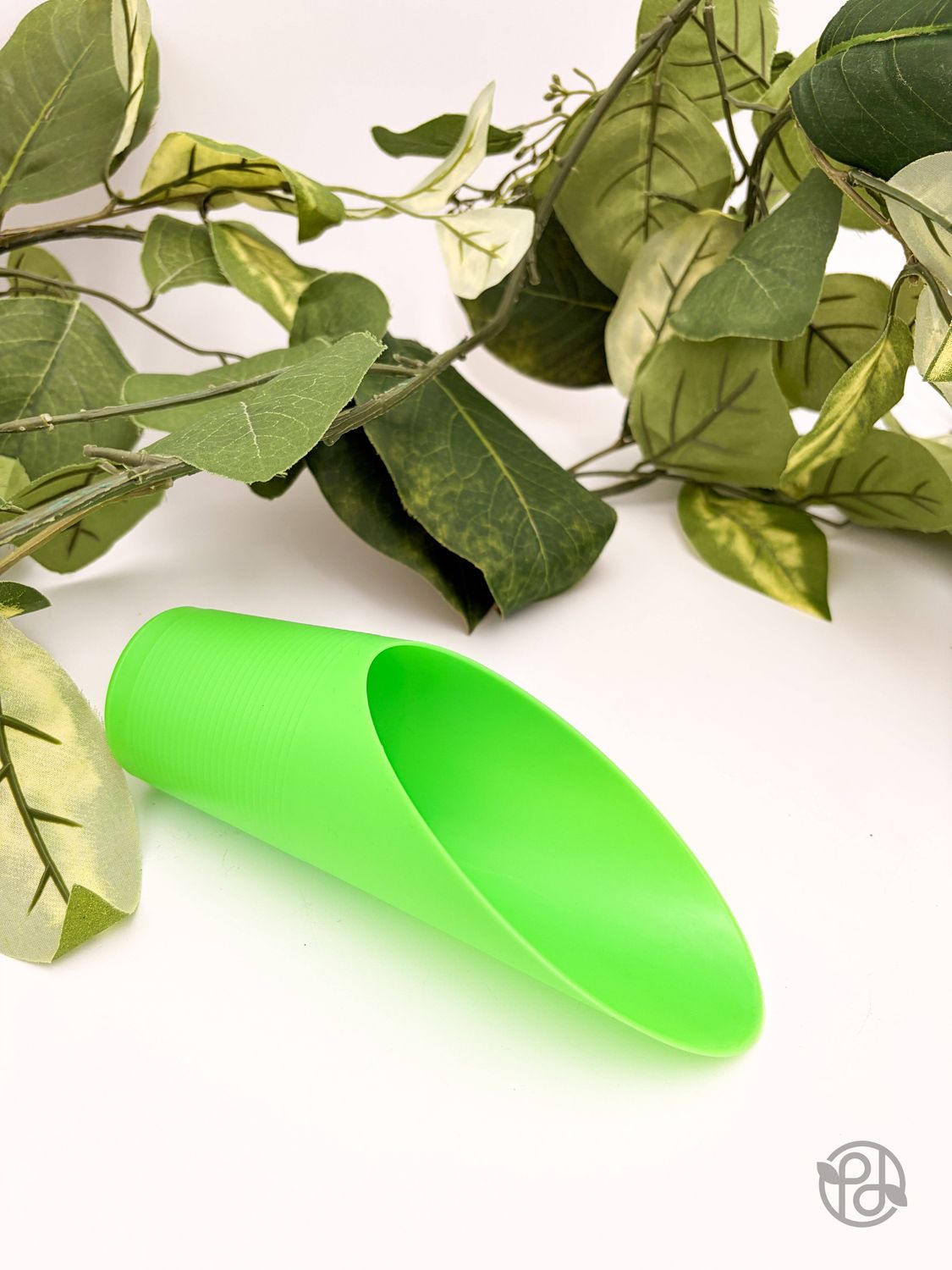 Plant Scoop: Black
