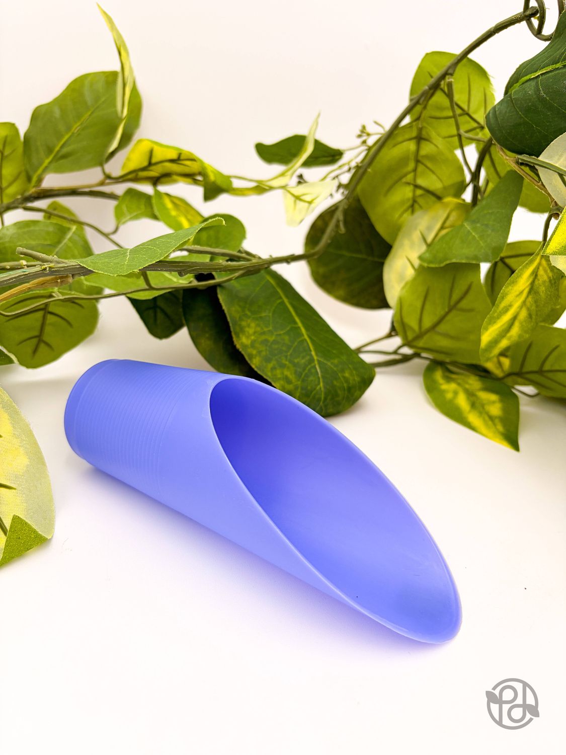 Plant Scoop: Black