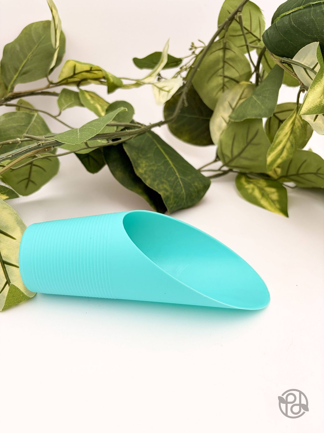 Plant Scoop: Black