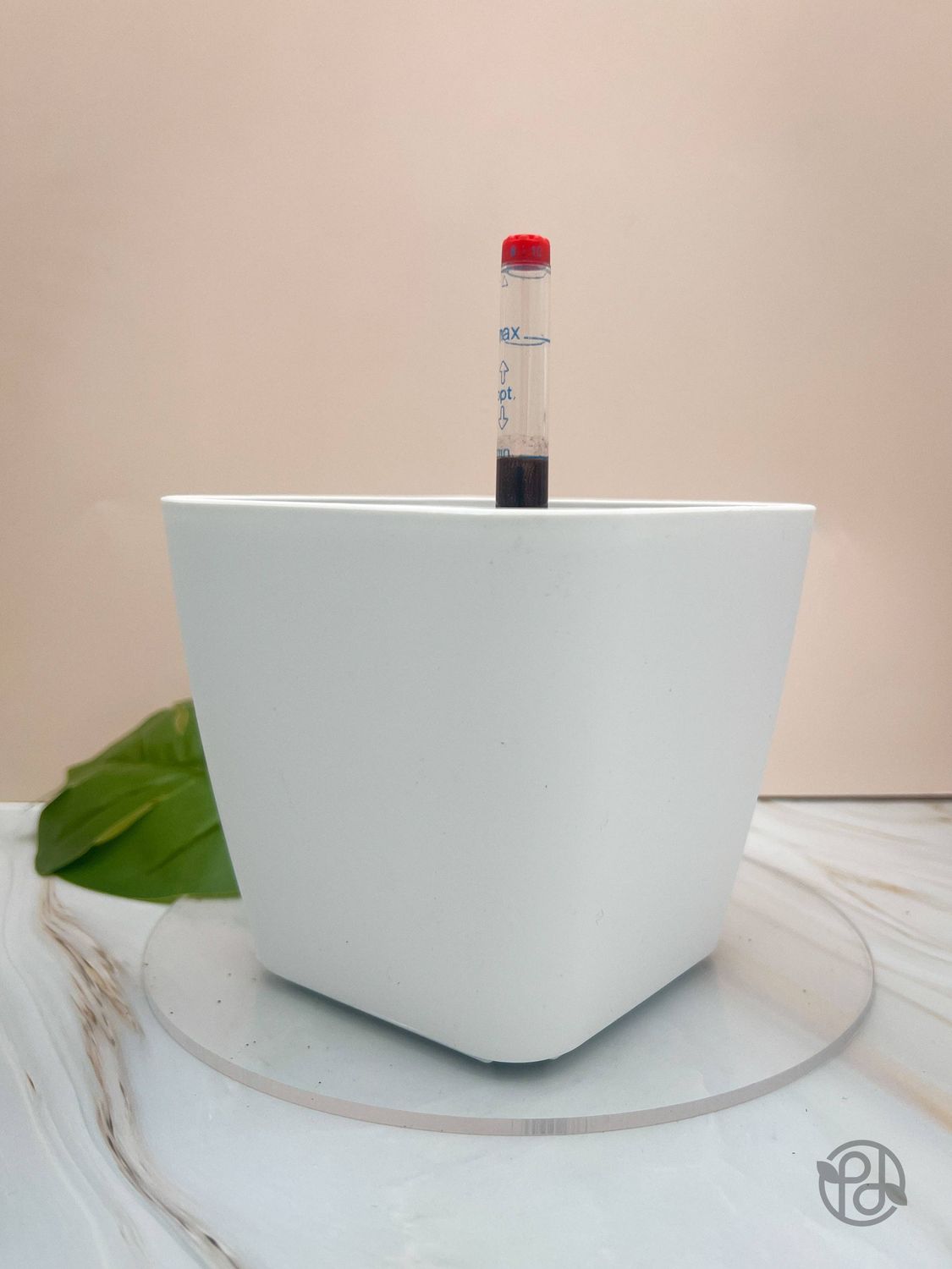 6" Self Watering Moo Pot: Black