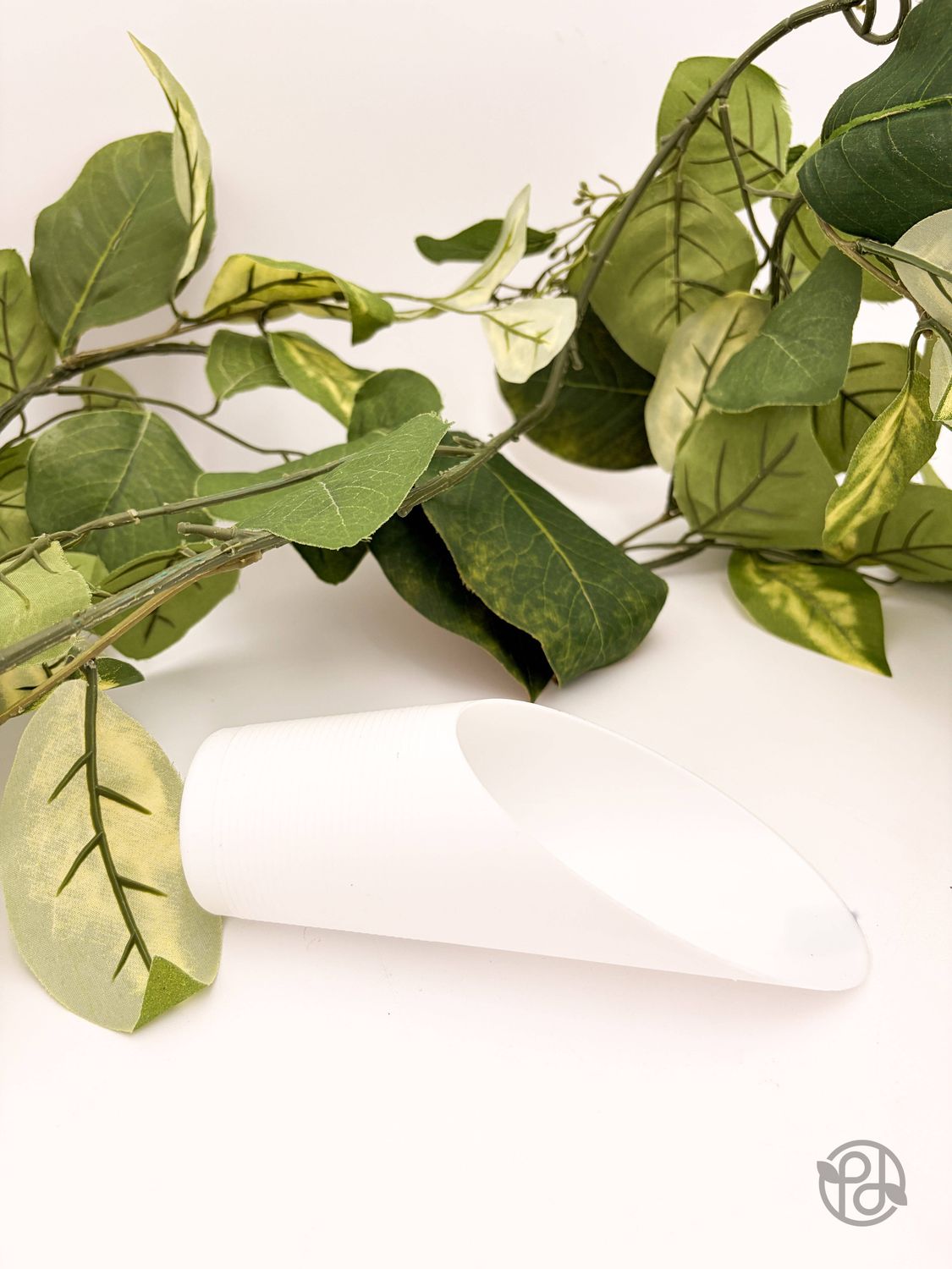 Plant Scoop: Dark Green