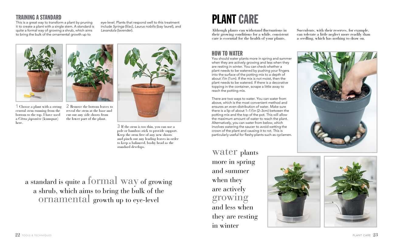Joy of Living with Plants by Isabelle Palmer: Hardcover; 144 pages / English