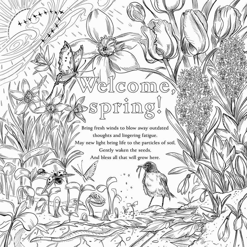 Green Witch's Coloring Book by Arin Murphy-Hiscock: Paperback; 80 pages / English