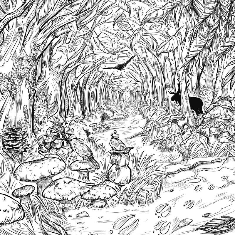 Green Witch's Coloring Book by Arin Murphy-Hiscock: Paperback; 80 pages / English